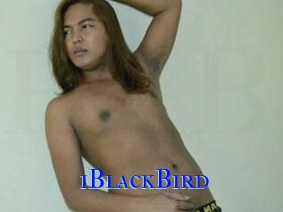 1BlackBird