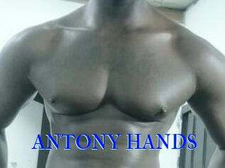 ANTONY_HANDS