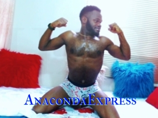 AnacondaExpress