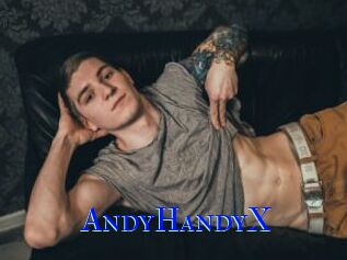 AndyHandyX