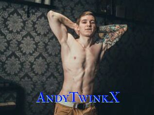 AndyTwinkX