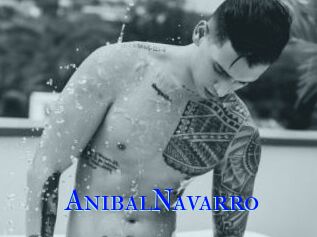 AnibalNavarro