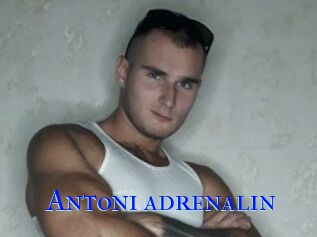 Antoni_adrenal1n