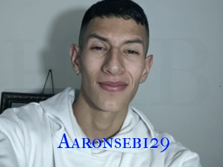 Aaronseb129