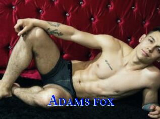 Adams_fox