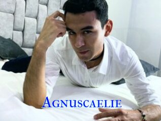 Agnuscaelie