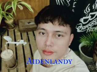 Aidenlandy