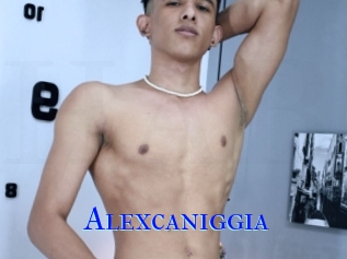 Alexcaniggia