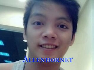 Allen_hornet