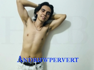 Andruwpervert