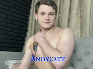 Andycatt