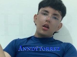 Anndytorrez