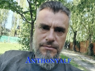 Anthonyalf