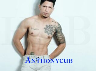 Anthonycub