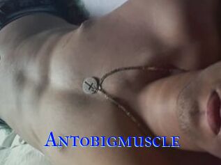 Antobigmuscle