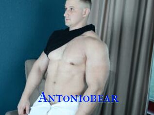 Antoniobear