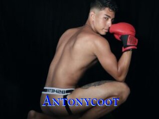 Antonycoot