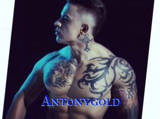 Antonygold