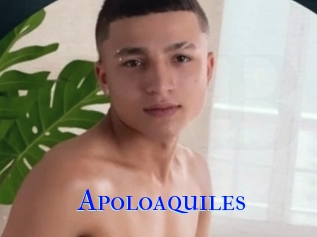 Apoloaquiles