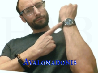 Avalonadonis