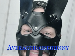 Averagehousebunny