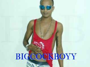 BIGCOCKBOYY