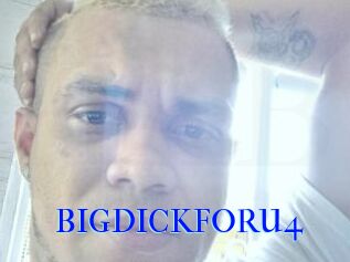 BIGDICKFORU4