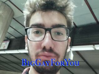 BigGayForYou