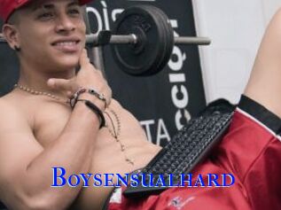 Boysensualhard