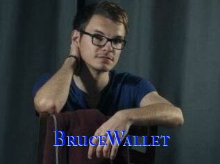 BruceWallet