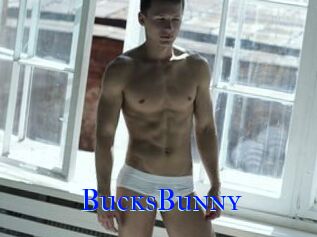 BucksBunny