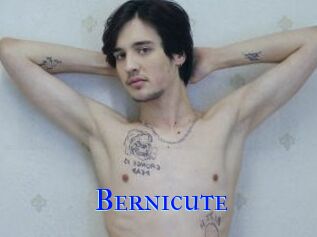 Bernicute