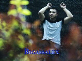 Bigassalex