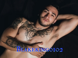 Blakeking0102