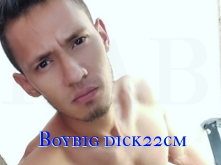 Boybig_dick22cm