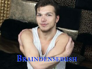 Braindensebush