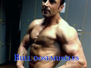 Bull_dosemuscles