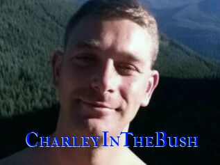 CharleyInTheBush