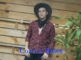 Conall_Hawk