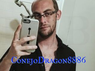 ConejoDragon8886