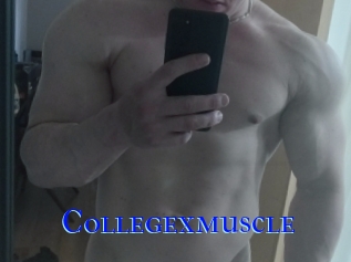 Collegexmuscle