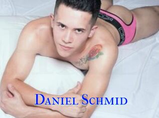 Daniel_Schmid