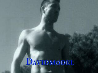 Davidmodel