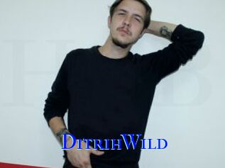 DitrihWild