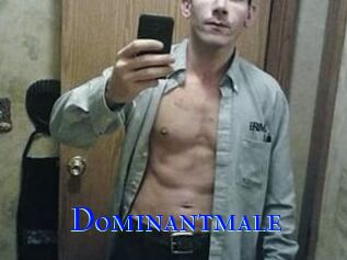 Dominantmale