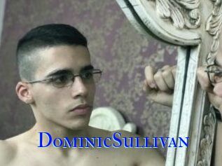 DominicSullivan