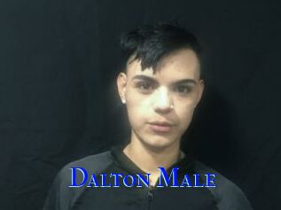 Dalton_Male