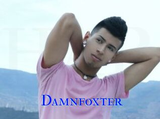 Damnfoxter