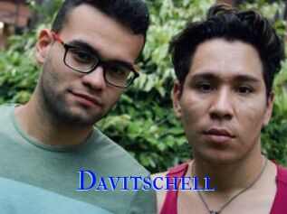 Davitschell