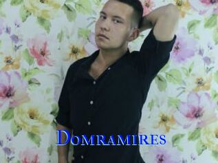 Domramires